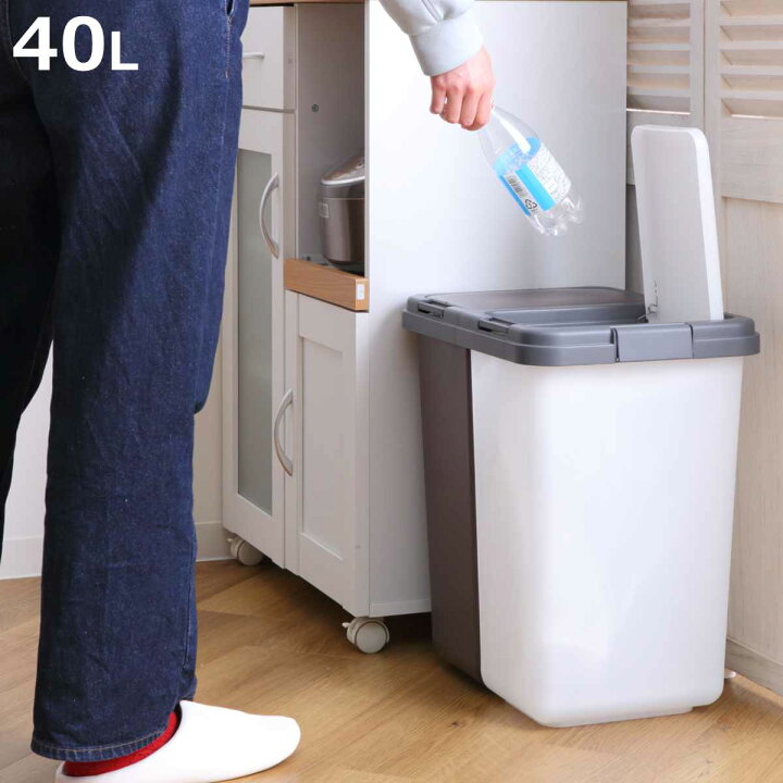 楽天市場】ゴミ箱 40L 2分別式ペール 横型 （ ごみ箱 20L×2 2分別 分別 