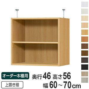 専用 上置き棚 標準棚板 type56 オーダー本棚 奥行46cm 幅60-70cm用 ( 送料無料 オーダーメイド 天井つっぱり 収納ラック 本棚 セミオーダー ) 【3980円以上送料無料】