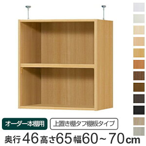 p uI ^tI type65 I[_[{I s46cm 60-70cmp i  I[_[Ch Vς {I ړIbN Z~I[_[ j y3980~ȏ㑗z