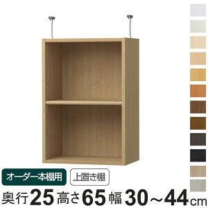 p uI WI type65 I[_[{I s25cm 30-44cmp i pp[c ǉIvV u [Ƌ IvV ǉ I[_[ bN p[c j y3980~ȏ㑗z
