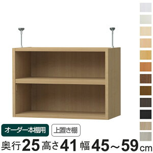 p uI WI type41 I[_[{I s25cm 45-59cmp i pp[c ǉIvV u [Ƌ IvV ǉ I[_[ bN p[c j y3980~ȏ㑗z