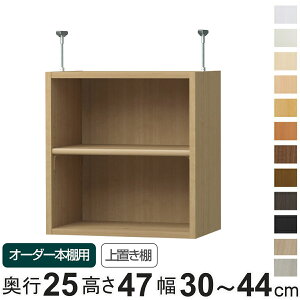 専用 上置き棚 標準棚板 type47 オーダー本棚 奥行25cm 幅30-44cm用 ( 専用パーツ 追加オプション 上置き 収納家具 オプション 追加 オーダー ラック パーツ ) 【3980円以上送料無料】