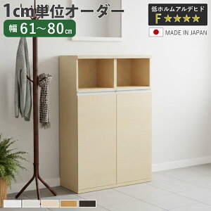 �V���[�Y�{�b�N�X �T�C�Y�I�[�_�[ ��61-80cm 120type ���t�� NEO ���{�� F�������� �i �V���[�Y���b�N ���ʔ� �C ���[ ���֎��[ �C�� �ؐ� �I�[�_�[�Ƌ� ���s34.5cm ����120.8cm ���b�N �V���v�� �C���[