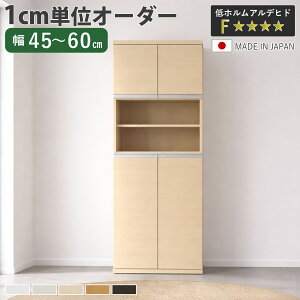 �V���[�Y�{�b�N�X �T�C�Y�I�[�_�[ ��45-60cm 180type ���󂫔��t�� NEO ���{�� F�������� �i �V���[�Y���b�N ���ʔ� �C ���[ ���֎��[ �I�[�_�[�Ƌ� ���s34.5cm ����175cm �ؐ� �V���v�� �C�� �g�ݍ���