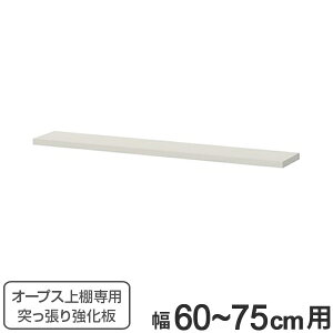 I[vXuIp ˂苭 60`75cm i  I[vX p[cIvV uIp ˂ V˂苭 I[_[Ch Z~I[_[ TCYI[_[ TCYw 