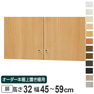 オーダー本棚 上置き棚 type32用扉 幅45-59cm ( 送料無料 オーダーメイド 収納棚 ) 【3980円以上送料無料】