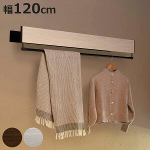  DRYEWAVE CeAnK[ X^_[h 120cm i ߗފ| CeA nK[ WJ hCEEF[u { CeA 120cm Ǖt ƕt rO  X^