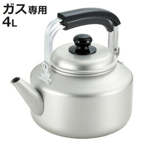 Pg 4L KXΐpC[WCPg i KXΑΉ  ₩ J  A~ y e 4bg Pbg y 傫TCY ₷ ɂ  Lb`p