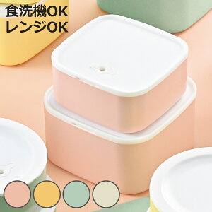 保存容器 さっと洗える保存容器 角 2個セット ( プラスチック 密閉 日本製 食洗機対応 電子レンジ対応 285ml 540ml フードケース コンテナ 弁当箱 常備菜 つくり置き フルーツ おかず おしゃれ
