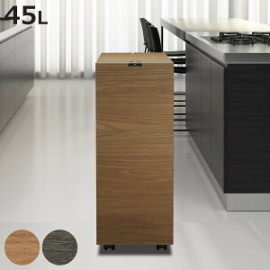 ゴミ箱 1段 45L バスク グランデペール ( ごみ箱 木目調 45リットル 袋 見えない くず入れ スリム スライド 角型 キャスター付き 幅23cm リビング キッチン 隙間 棚下 )【3980円以上送料無料】