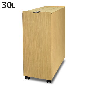 S~ 30L oXN { rOy[ i ݔ ؖڒ 30bg  Ȃ  X XCh p^ LX^[t 21cm rO Lb`  I jy3980~ȏ㑗