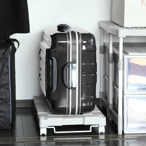 [L[ 54`76×s37×11cm LX^[t i [ [  ̂ Lk^Cv  L[ Lk S [S gi jy3980~ȏ㑗z