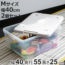 収納ボックス 40M とっても便利箱 フタ付き 2個セット （ 幅40×奥行55×高さ25cm 収納 ボックス 隙間 収納ケース 棚上 引き手付き ロック クローゼット プラスチック スタッキング 積み重ね すき間 用品 衣装 ケース 押入れ 天袋 ）【3980円以上送料無料】