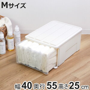 収納ケース たっぷり収納 衣装ケース 引き出し プラスチック 55M 幅40×奥行55×高さ25cm ( 収納 ケース クローゼット 押し入れ 衣類収納 日本製 引出し 押入れ収納 大容量 押入れ 衣類 洋服 ホ