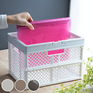 [{bNX 31×s23×21cm ܂肽 JS oXPbg S i vX`bN [P[X Rei RpNg [ t Rei{bNX ςݏd X^bLO B5TCY AE