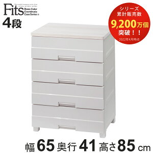 `FXg vX`bN 4i tBbcvXC[W[ FE6504 65cm Jv`[m { i 65×s41×85cm ^X o [ ߗގ[ i tBbc Fits ߑP[X rO[ m^