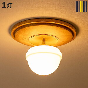 �V�[�����O���C�g 1�� LED�Ή� RAGDOL �V�[�����O�����v gram eight �O�����G�C�g �i ���O�h�� �V��Ɩ� �Ɩ� ���C�g �K���X �V�F�[�h LED �Ɩ���� �H���s�v ������� �k�� ���g�� �ؐ� �E�b�h �j�y3