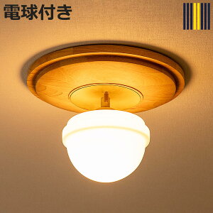�V�[�����O���C�g 1�� LED�d���t�� RAGDOL �V��Ɩ� gram eight �O�����G�C�g �i ���O�h�� �Ɩ� ���C�g �K���X �V�F�[�h LED �Ɩ���� �H���s�v ������� �k�� ���g�� �ؐ� �E�b�h �j�y3980�~�ȏ㑗��