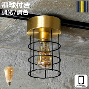 �V�[�����O���C�g 1�� LED�d���t�� �n�[�t�� ���[�N gram eight �O�����G�C�g �i �V��Ɩ� �Ɩ� �Ɩ���� �d�C �^�J �A�C�A�� ���� ���^ �C���_�X�g���A�� �J�E���^�[ �L�b�`�� ���� ������� �d