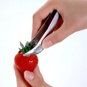 ւƂ w^ i كObY ppi Lb`c[   C`S َq jy3980~ȏ㑗z