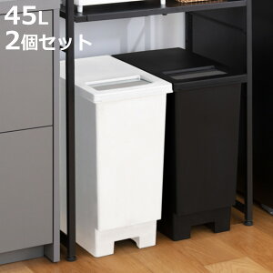 �S�~�� 45L ���F2�Z�b�g ���j�[�h �v�b�V�����I�[�v���y�[�� �i ���ݔ� 45���b�g�� �v�b�V�� ���� �L�b�`�� �V���v�� �ӂ��t�� ���� 45 2�� �܎~�ߕt�� �X���� �p�^ ������� �j�y3980�~�ȏ㑗