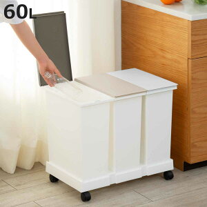 S~ tI[vy[ 3Zbg  i ݔ 20L×3 3 ^b`  ӂt Lb` p^ Vv RS~ ybg{g  Ԃׂ LX^[t ܎~ߕt jy