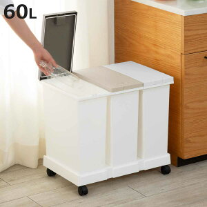 S~ t^b`y[ 3Zbg  i ݔ 20L×3 3 ^b`  ӂt Lb` p^ Vv RS~ ybg{g  Ԃׂ LX^[t ܎~ߕt jy398