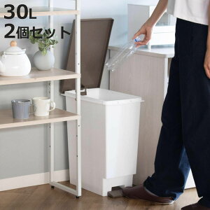 ゴミ箱 30L スリムペダル 2個セット ふた付き ブラウン ( ごみ箱 30リットル スリム ペダル式 ふた付き 角型 キッチン 分別 すき間 幅23.5cm シンプル 袋止め付き ゴミ袋が見えにくい ホワイト