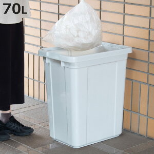 �S�~�� 75L �G�R�y�[�� �{�̂̂� �i 75 ���b�g�� �_�X�g�{�b�N�X ��e�� �v���X�`�b�N ���ݔ� �p�^ ������ ���� �������� �R�S�~ �s�R�S�~ �ƒ�S�~ �� �� �y�b�g�{�g�� ��� �I�t�B�X �J�t�F