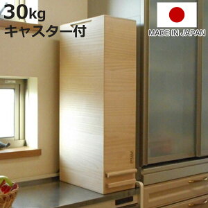 Ăт vʋ@\t LX^[t ː 30kg 1v i ğC ߂т CX{bNX CXXgbJ[  30kgp 30L  a ːĂт  [ ۑ XgbJ[ Lb` X