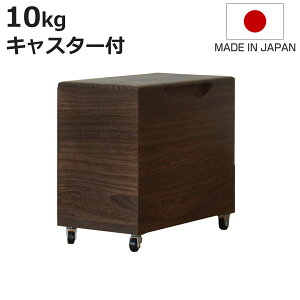 Ăт 10kg ˂̕Ăт ċ LX^[t i  { ğC ߂т   h 10L a ːĂт  [ ۑ XgbJ[ CX{bNX CXXgbJ[ ړ 