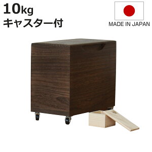 Ăт 10kg ˂̕Ăт ċ LX^[t ꍇ ؂_t i  { ğC ߂т   h 10L a ːĂт  [ ۑ t CX{bNX CX