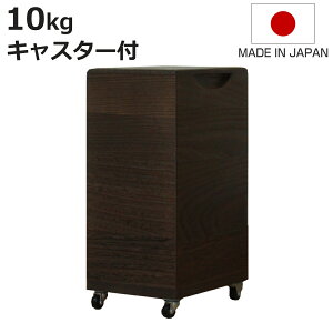 Ăт 10kg ˂̕Ăт c^ ċ LX^[t i  { ğC ߂т   h 10L a ːĂт  [ ۑ XgbJ[ CX{bNX CXXgbJ[ 