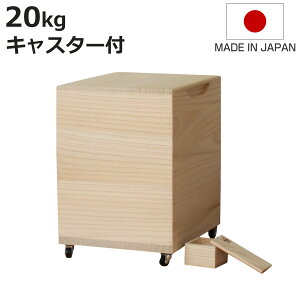 Ăт 20kg ˂̕Ăт n LX^[t ꍇ ؂_t i  { ğC ߂т   h  y 20L a ːĂт  [ ۑ t CX{bNX 