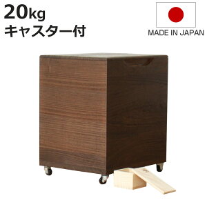 Ăт 20kg ˂̕Ăт ċ LX^[t ꍇ ؂_t i  { ğC ߂т   h  y 20L a ːĂт  [ ۑ t CX{bNX 