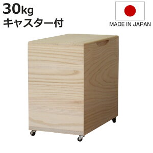 Ăт 30kg ˂̕Ăт n LX^[t i  { ğC ߂т   h  y 30L a ːĂт  [ ۑ XgbJ[ CX{bNX CXXgbJ[ 