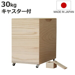Ăт 30kg ˂̕Ăт n LX^[t ꍇ ؂_t i  { ğC ߂т   h  y 30L a ːĂт  [ ۑ t CX{bNX 