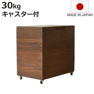 Ăт 30kg ˂̕Ăт ċ LX^[t i  { ğC ߂т   h  y 30L a ːĂт  [ ۑ XgbJ[ CX{bNX CXXgbJ[ 