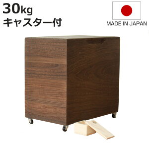Ăт 30kg ˂̕Ăт ċ LX^[t ꍇ ؂_t i  { ğC ߂т   h  y 30L a ːĂт  [ ۑ t CX{bNX 