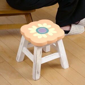 Xc[ ʍ25`26cm sNt[ VR i EbhXc[ qǂ ֎q LbY ~j`FA ~jXc[ i  t[`[t  fBXvC ω׏d 100kg ؐ j y398