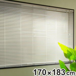 uCh 170×183cm A~ g[\[ i TOSO A~uCh uChJ[e J[e[ A~uCh J[e  ^ Vt ʕt |o ՔM Ռ ȃG