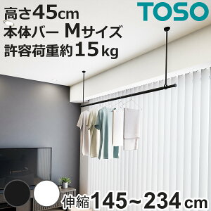  h[o[ TOSO LB1Zbg MTCY 45cm i Zbg  ݂艺 ݂艺  |[   V ݂艺 ƃZbg RpNg [ 