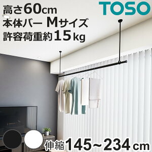  h[o[ TOSO LB1Zbg MTCY 60cm i Zbg  ݂艺 ݂艺  |[   V ݂艺 ƃZbg RpNg [ 