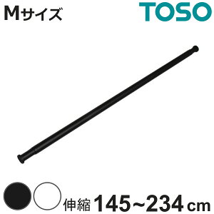  {̃o[̂ h[o[ TOSO LB1 MTCY i  {̃o[   Lk 1{ Ƃ̂ 145`234cm   Lk RpNg [ ǎ[ CeA fUC