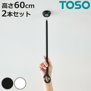  h[o[ 60cm ݂|[F2Zbg TOSO LB1 {̃o[ʔ i  V|[ ݂艺 2 2{ 60cm  ݂艺  ̂ RpNg [ 
