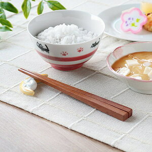  17cm lp WOODN qp ؐ VR TI i  ͂ q lp` ؖ aH Jg[ ͂ LbY ؐH Vv  킢 JtF TI̖ j y3980~ȏ㑗