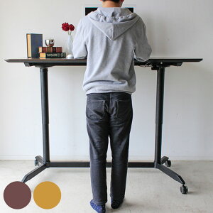 X^fBOfXN 120cm  fBAi LX^[ i ~ fXN   ㉺~ e[N p\R AWX^[ LX^[t ؖڒ jy3980~ȏ㑗z