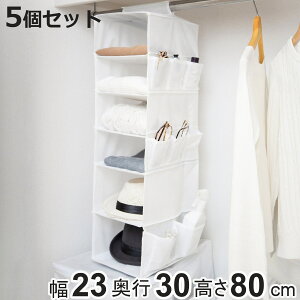 ݂艺[ 6i ߗ [ 23×s30×80cm 5Zbg N[[bg[ i [  ݂艺 pCvnK[ ݂邷 V ^ h~ Xq sDz ߗގ[  ݉[