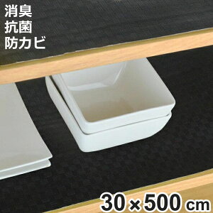 HIV[g |Y 30×500cm L R hJr H HI V[g { i HIp یV[g I~V[g ɂ ɂ h~ o Yɂ ~ }bg h~ 