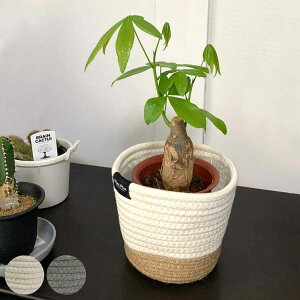 v^[Jo[ S [v i Jo[ v^[ |bgJo[ z   ~` ^ 3 4 n ϗtA A   [    rj[ j y3980~ȏ㑗